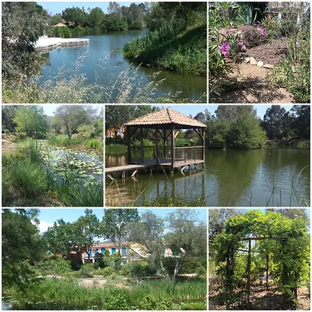 Feriehus Eyholiday Grimaud